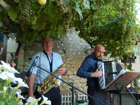 Accordéoniste, saxophoniste, guitariste, violonistes